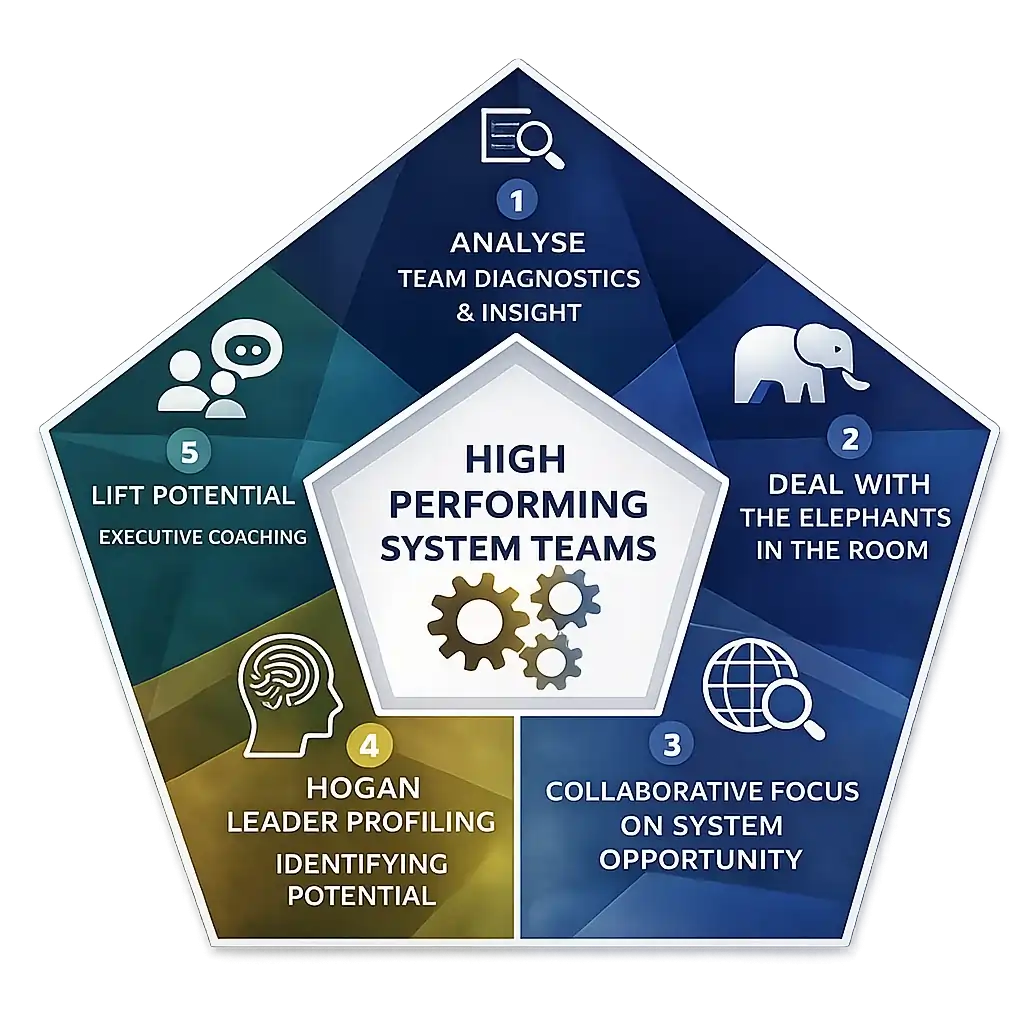 leadership team performance Cognitions