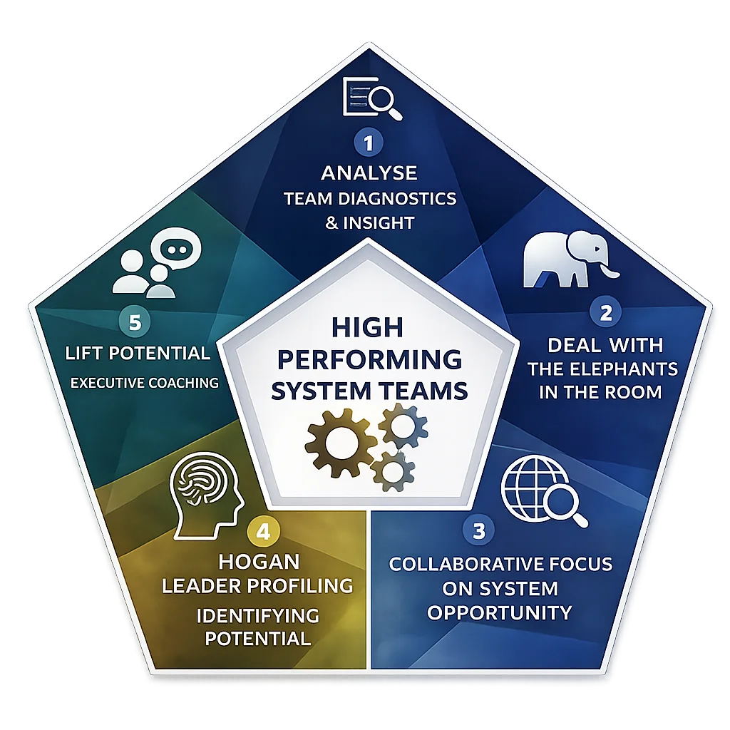 leadership team performance Cognitions